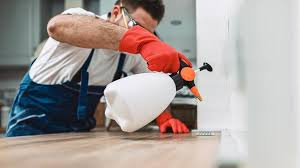 Best Pest Prevention Services  in Clemmons, NC